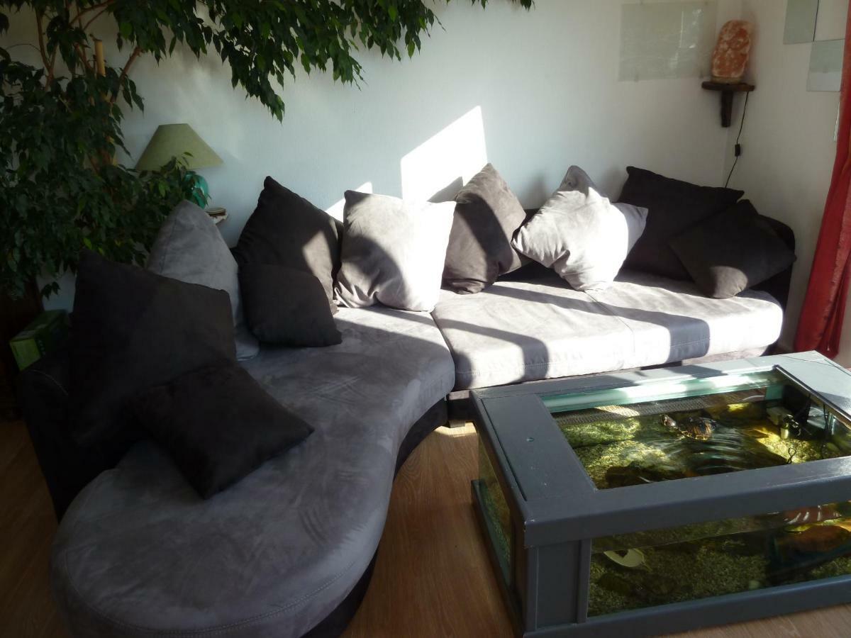 Duplex Fontainebleau Apartman Clermont-Ferrand Kültér fotó